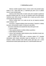 Prakses atskaite 'A/s "BAO"', 8.