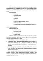 Konspekts 'Finanšu grāmatvedība', 42.