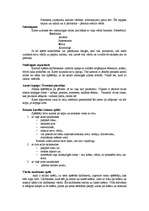 Konspekts 'Iepazīšanās spēles', 3.