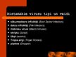 Prezentācija 'Datorvīrusi - to veidi un pazīmes', 4.