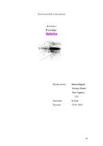 Referāts 'Ballistika', 12.