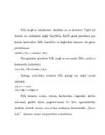 Konspekts 'Ogleklis', 28.