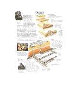 Konspekts 'Ogleklis', 40.