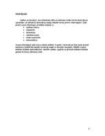 Referāts 'Vispārējā datorizācija: pozitīvais un negatīvais', 9.