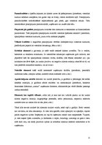 Referāts 'Pakalpojuma kvalitāte', 15.