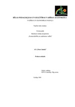 Prakses atskaite 'Prakses atskaite a/s "Parex banka"', 1.