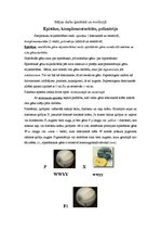 Konspekts 'Epistāze, komplementaritāte, polimērija', 1.