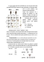 Konspekts 'Epistāze, komplementaritāte, polimērija', 3.