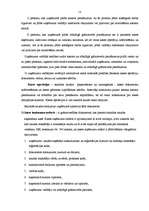 Prakses atskaite 'Finanšu grāmatvedība SIA "XX"', 16.