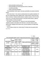 Prakses atskaite 'Finanšu grāmatvedība SIA "XX"', 29.