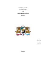 Paraugs 'Sijas aprēķins', 1.