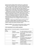 Konspekts 'Integrēta projektu nedēļa sākumskolā', 2.