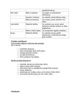 Konspekts 'Integrēta projektu nedēļa sākumskolā', 3.