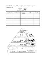 Konspekts 'Integrēta projektu nedēļa sākumskolā', 14.