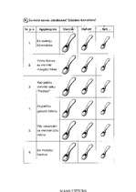 Konspekts 'Integrēta projektu nedēļa sākumskolā', 18.