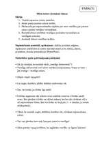 Konspekts 'Integrēta projektu nedēļa sākumskolā', 32.