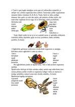 Konspekts 'Integrēta projektu nedēļa sākumskolā', 34.