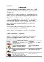 Konspekts 'Integrēta projektu nedēļa sākumskolā', 35.