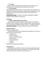 Konspekts 'Integrēta projektu nedēļa sākumskolā', 57.