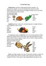 Konspekts 'Integrēta projektu nedēļa sākumskolā', 58.