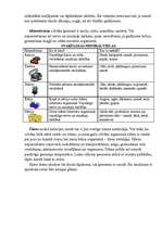 Konspekts 'Integrēta projektu nedēļa sākumskolā', 60.