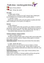 Konspekts 'Integrēta projektu nedēļa sākumskolā', 62.