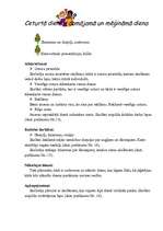 Konspekts 'Integrēta projektu nedēļa sākumskolā', 64.