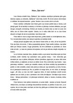 Eseja 'Filma "Šķērsiela"', 1.