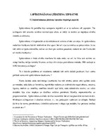 Referāts 'Kriminālatbildība par spīdzināšanu', 7.