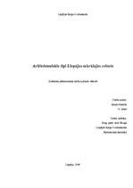 Referāts 'Arhitektoniskie tipi Liepājas sakrālajās celtnēs', 1.