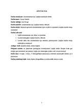 Referāts 'Arhitektoniskie tipi Liepājas sakrālajās celtnēs', 3.