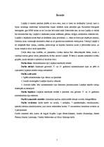 Referāts 'Arhitektoniskie tipi Liepājas sakrālajās celtnēs', 5.