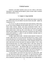 Referāts 'Arhitektoniskie tipi Liepājas sakrālajās celtnēs', 14.