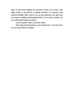 Referāts 'Darbinieku pamatvajadzības un motivācijas sistēma uzņēmumā "XXX"', 13.