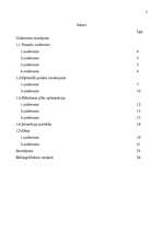 Referāts 'Datormācība ekonomistiem', 3.