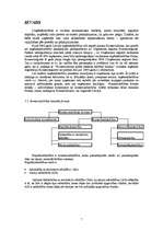 Referāts 'Sabiedrība ar ierobežotu atbildību - SIA', 3.