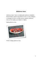 Referāts 'Kuģa glābšanas iekārtas', 9.