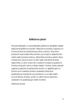 Referāts 'Kuģa glābšanas iekārtas', 11.