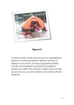 Referāts 'Kuģa glābšanas iekārtas', 12.