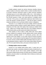 Referāts 'Mākslīgais intelekts', 6.