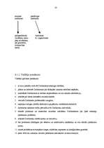 Biznesa plāns 'Z/s "Avoti" tūrisma attīstības iespējas', 26.