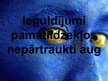 Prezentācija 'Investīcijas', 6.