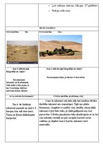 Konspekts 'Tuksnešu ekosistēmas', 5.