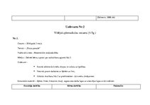 Prakses atskaite 'Aktīvā mācību un audzināšanas prakse pirmsskolā', 7.