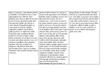 Prakses atskaite 'Aktīvā mācību un audzināšanas prakse pirmsskolā', 19.