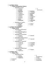 Referāts 'Priedes hibridizācijas izmēģinājumos gūtās atziņas', 15.