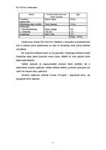 Biznesa plāns 'SIA "Mur Vau"', 5.