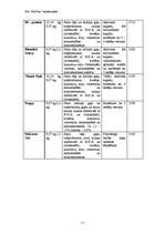 Biznesa plāns 'SIA "Mur Vau"', 9.