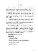 Referāts 'Tikumu ētika', 3.