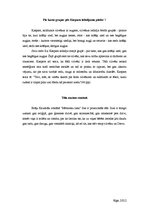 Referāts 'Ilze - tēls brāļu Kaudzīšu romānā "Mērnieku laiki"', 11.